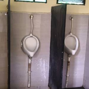 WhatsApp_Image_2025-09-10_at_12.42.48_PM_original