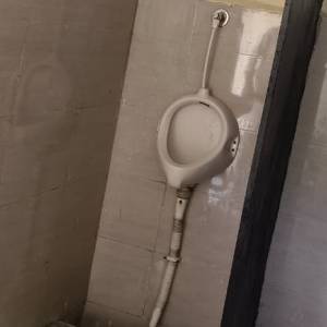 WhatsApp_Image_2025-09-10_at_12.42.46_PM_1_original